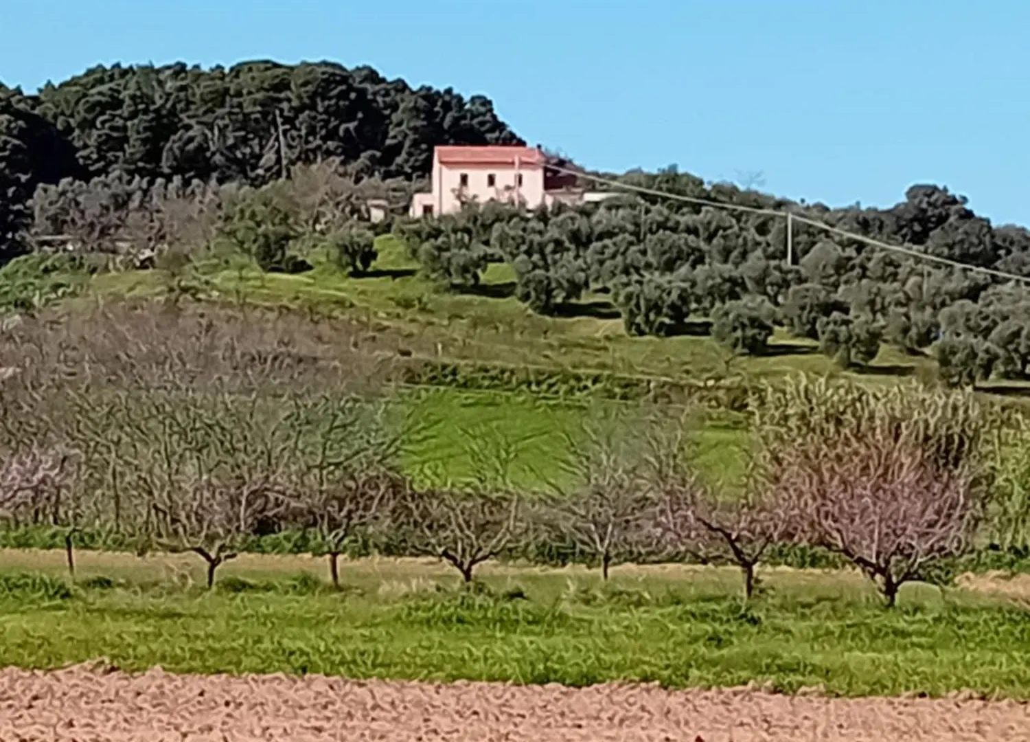 Gospodarstwo agroturystyczne Agriturismo Val Martina Scarlino
